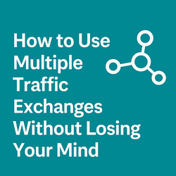 How to use multiple traffic exchanges without losing your mind – blog graphic with network icon